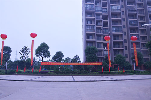 中共湖北汇鑫建设集团 第一次党员大会预备会议(图3)