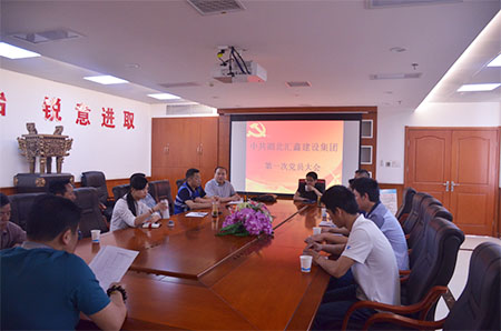 中共湖北汇鑫建设集团委员会正式成立(图1)