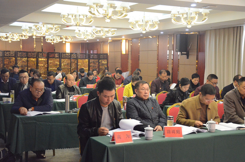 中共湖北汇鑫建设集团委员会第二届换届选举大会(图4)