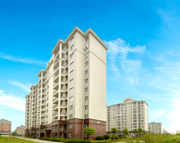 大集还建小区(图2)
