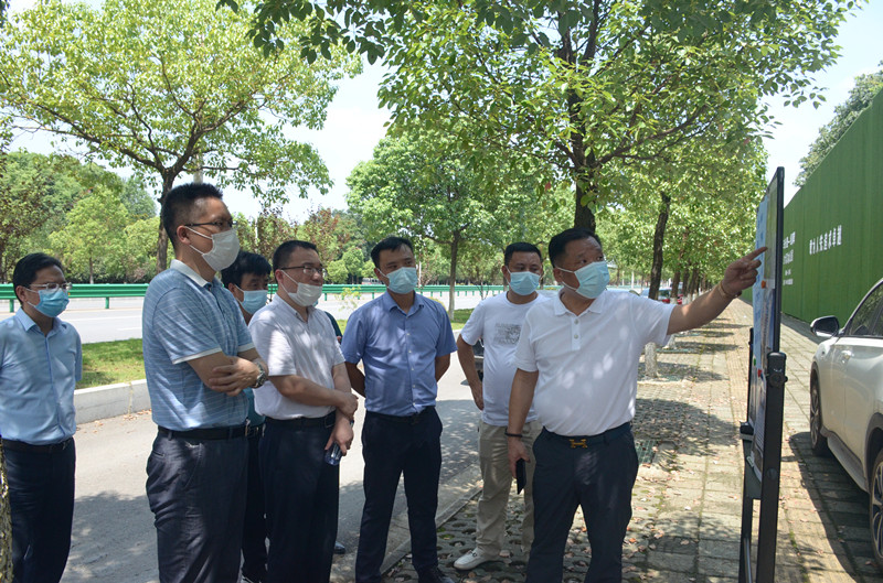 蔡甸区副区长黄江波调研凤翔岛洲际假日酒店项目(图1)