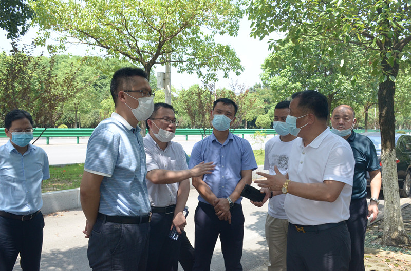 蔡甸区副区长黄江波调研凤翔岛洲际假日酒店项目(图2)