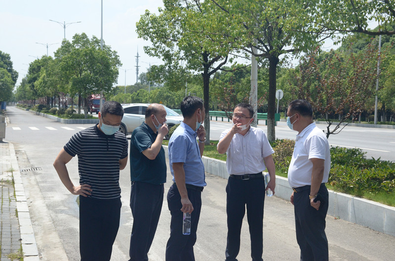 蔡甸区副区长黄江波调研凤翔岛洲际假日酒店项目(图5)
