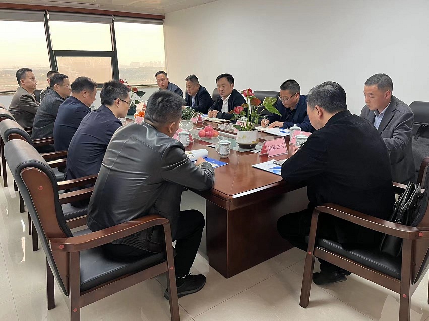蔡甸区委区政府领导一行莅临昭钦建设指导工作(图1)