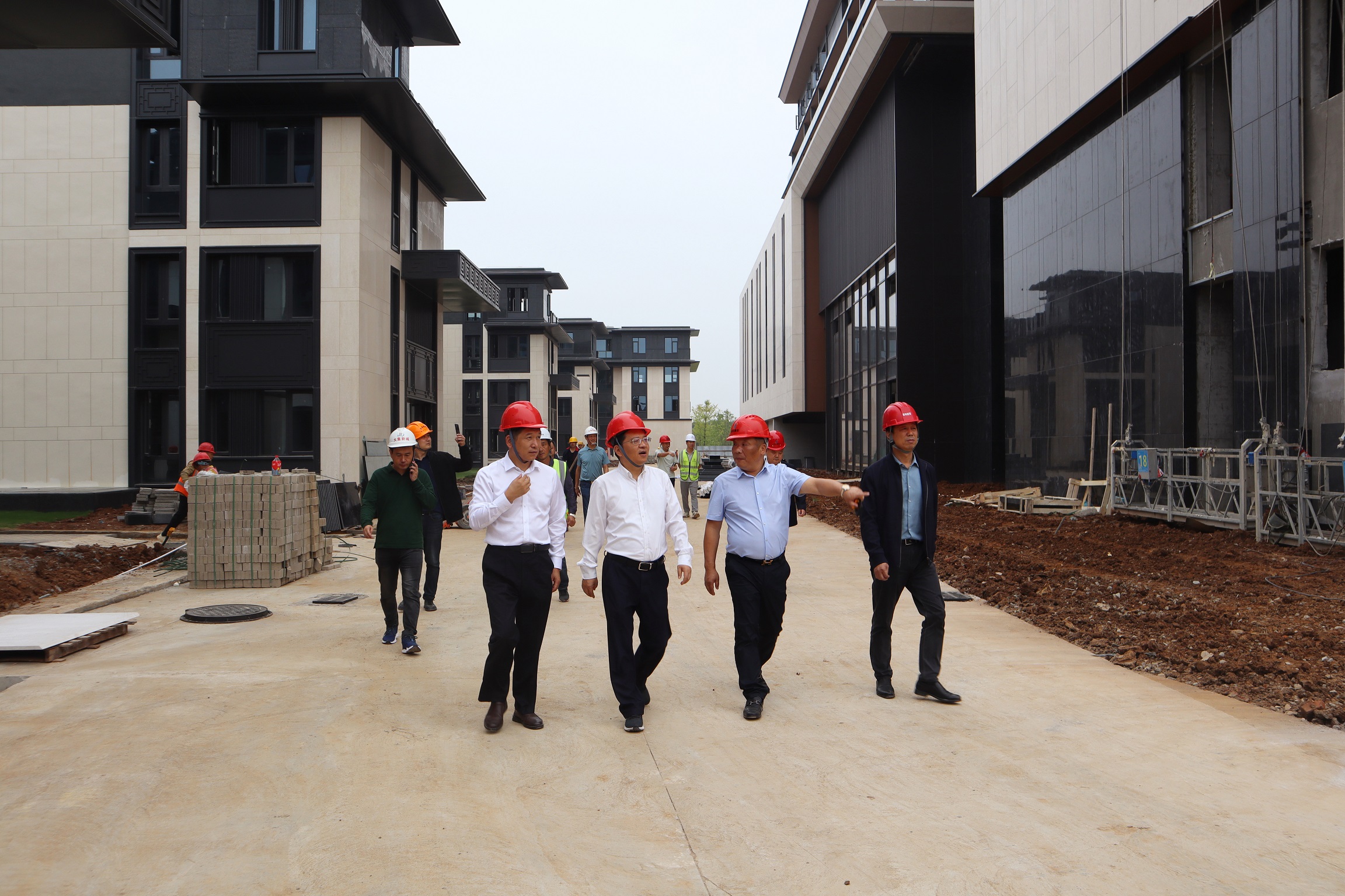 蔡甸区副区长宰磊一行莅临后官湖假日酒店调研指导工作(图1)